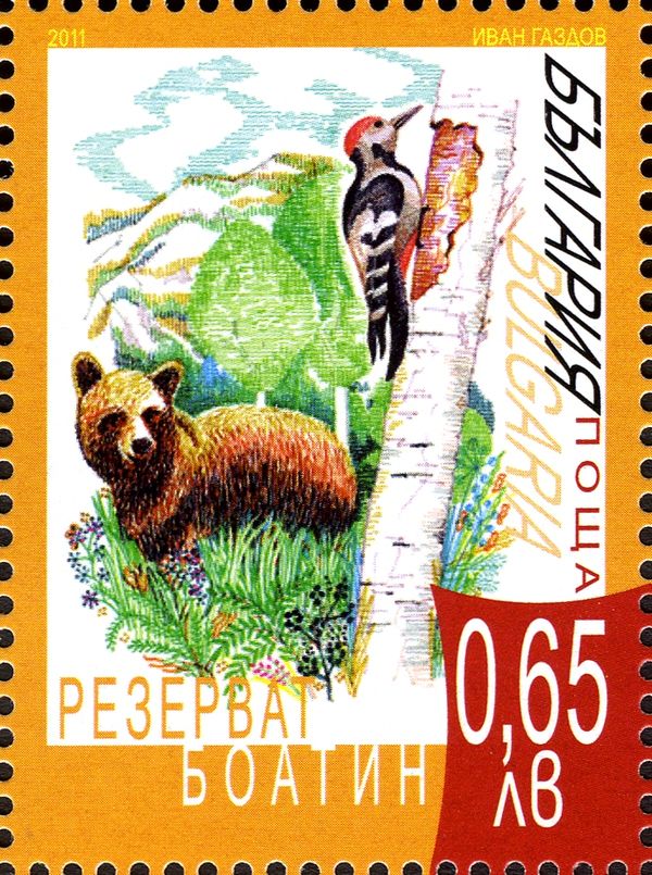 Brown Bear (Ursus arctos), Great Spotted Woodpecker (Picoide