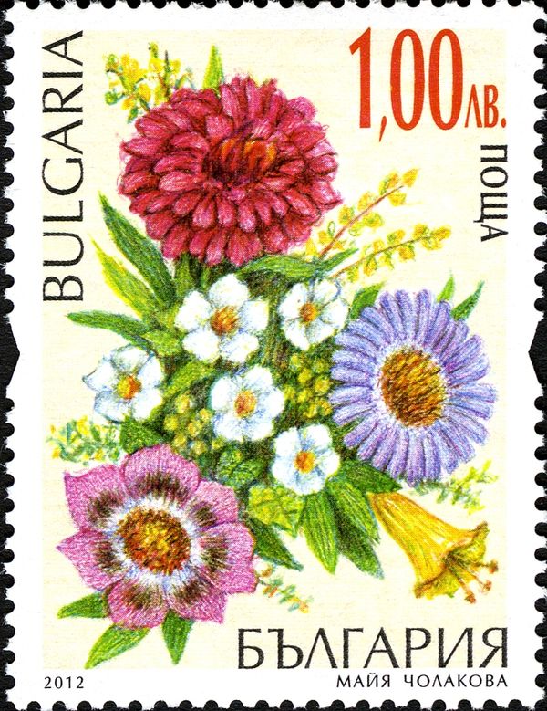 different Flowers