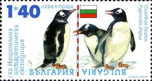 Gentoo Penguin (Pygoscelis papua), Bulgarian Flag