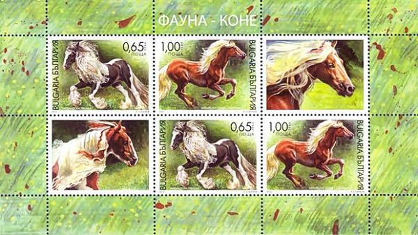 Tinker (Equus ferus caballus) with Decoration Field