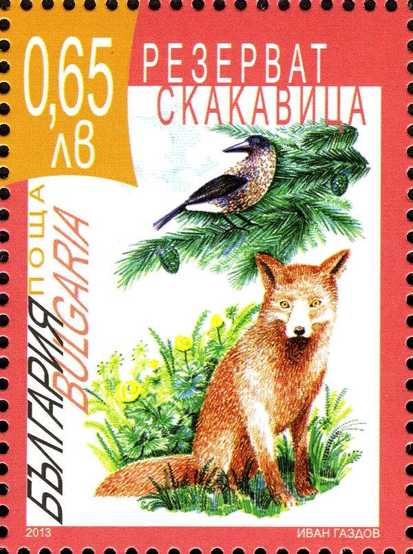 Hooded Crow (Corvus corone cornix), Red Fox (Vulpes vulpes)