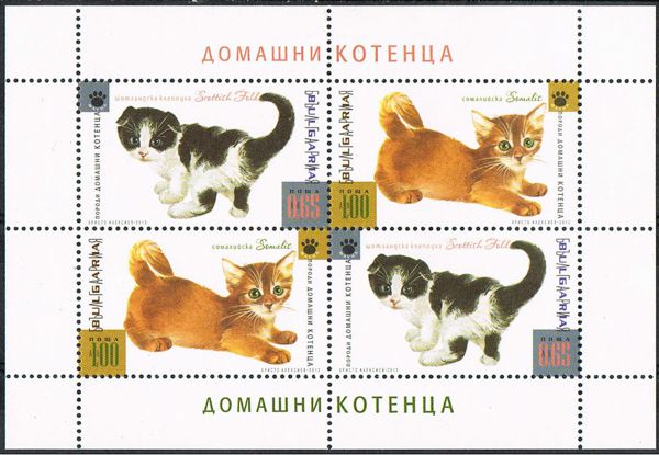 Cats (2013)