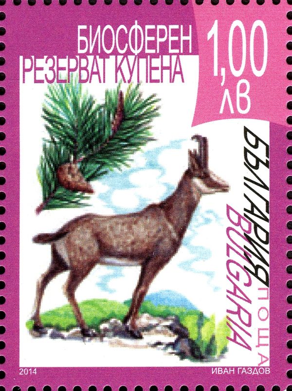 Balkan Chamois (Rupicapra rupicapra balcanica), Biosphere Na