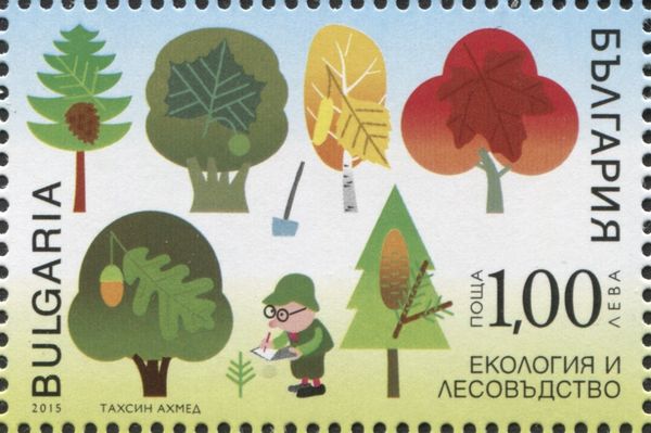 Forestry