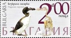 Great auk (Pinguinus impennis)