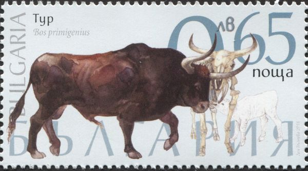 Aurochs (Bos primigenius)