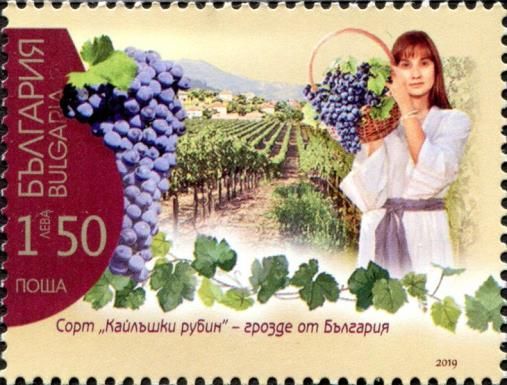 Winemaking
