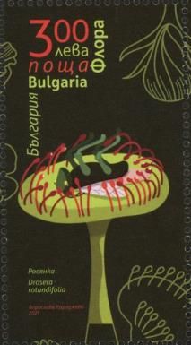 Carnivorous Plants
