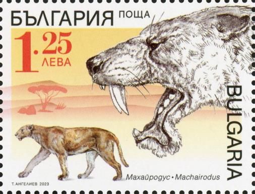 Machairodus