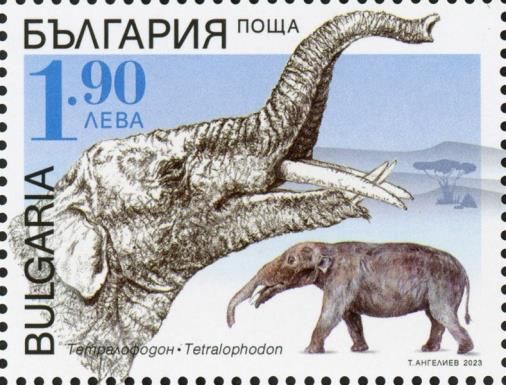Tetralophodon