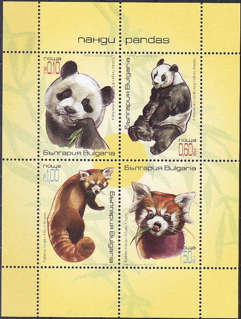 Pandas