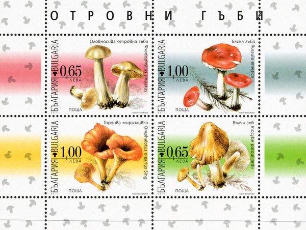 Poisonous Mushrooms