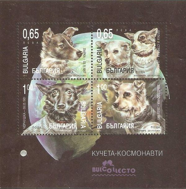 Dogs in Space