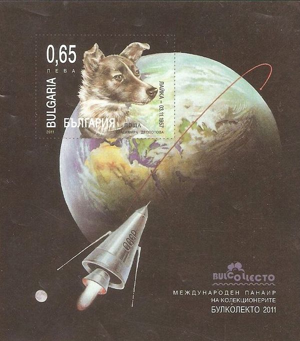 Laika in Space