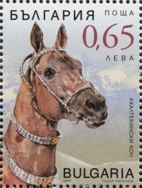 Akhal-Teke Horses (Normal Paper)