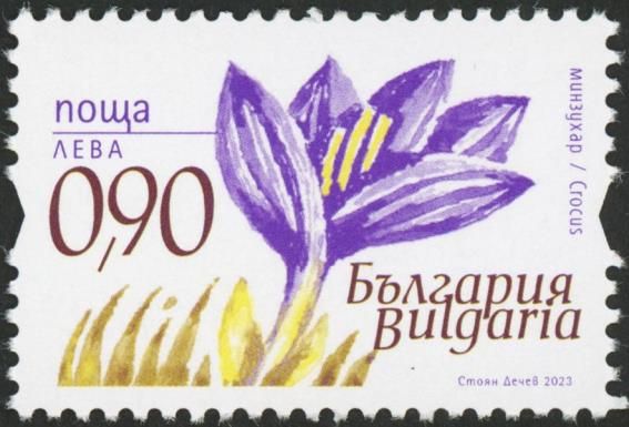 Field Flowers of Bulgaria