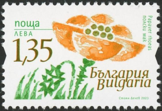 Field Flowers of Bulgaria