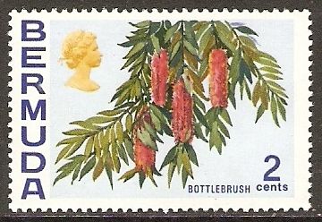 Bottlebrush