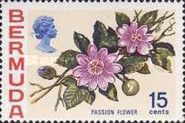 Passion flower