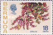 Coralita