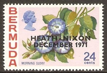 "Morning Glory" - overprinted