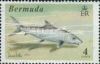 Bonefish (Albula vulpes)