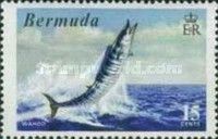 Wahoo (Acanthocybium solandri)