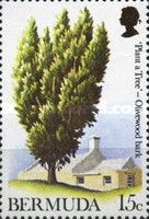Olivewood