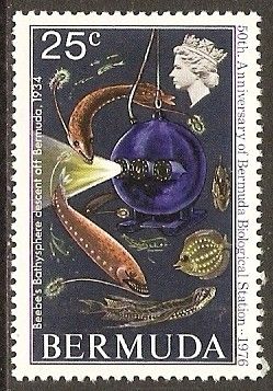 Descent of Beebe's bathysphere, 1934, and marine life
