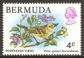 White-eyed Vireo (Vireo griseus bermudianus)