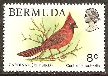 Cardinal or Redbird (Cardinalis cardinalis)
