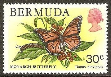 Monarch Butterfly (Danaus plexippus)