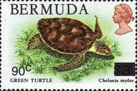 25th Anniversary of World Wildlife Fund