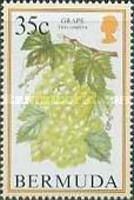 Grape