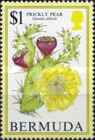 Prickly pear