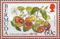Surinam cherry