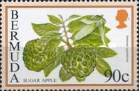 Sugar apple