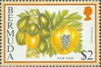 Paw paw