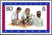 Students working in lab
