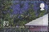 Cedar tree