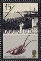 Crowded boat, plow