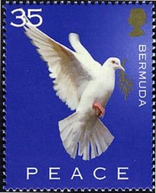 Dove facing Right