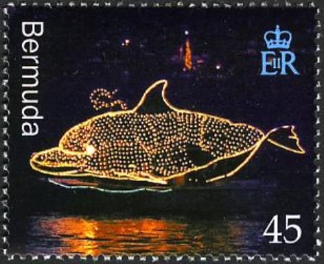 Dolphin