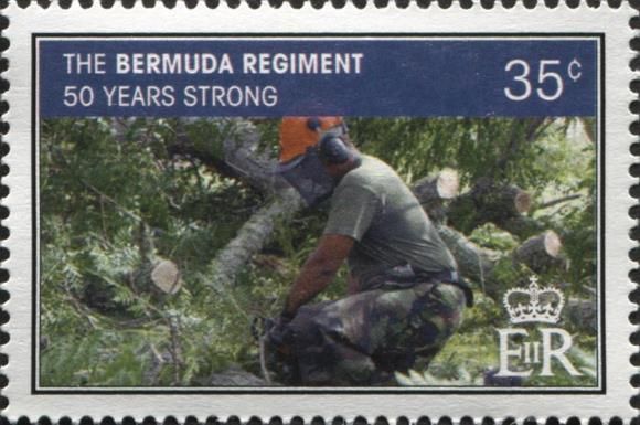 50th Anniversary of the Bermuda Regiment