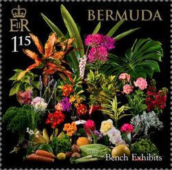 Bench Exhibits