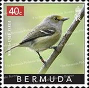 White-Eyed Vireo (Vireo griseus)
