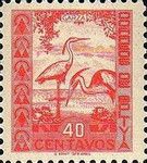 Cocoi Heron (Ardea cocoi)