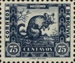 Long-tailed Chinchilla (Chinchilla lanigera)