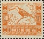 Toco Toucan (Ramphastos toco)