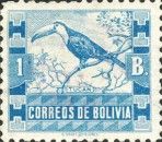 Toco Toucan (Ramphastos toco)